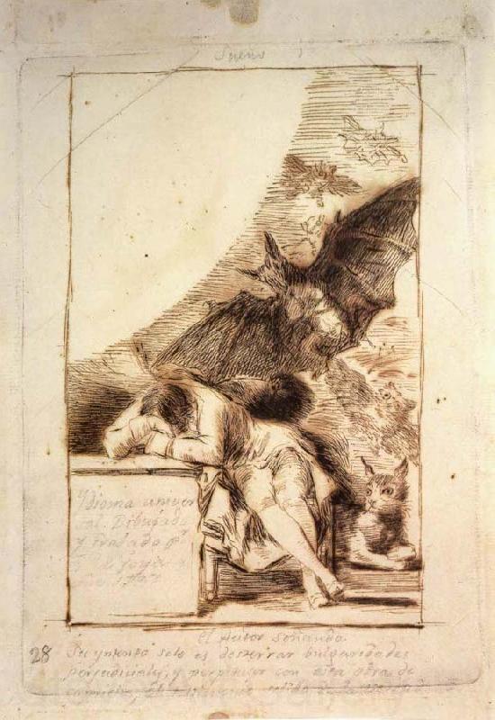 Francisco Goya Sueno France oil painting art